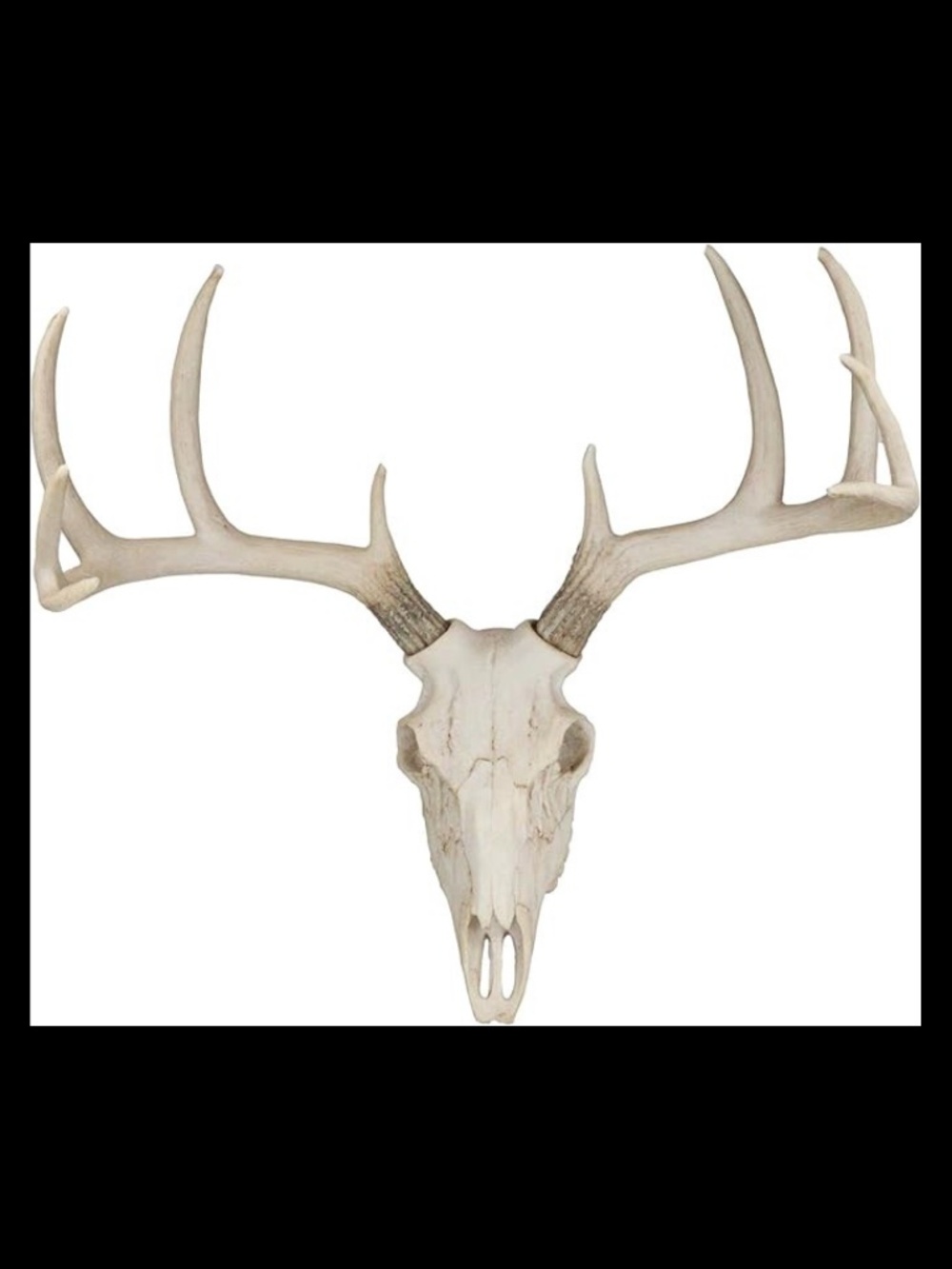 18.5"L 10 Point Buck Head Wall Mount